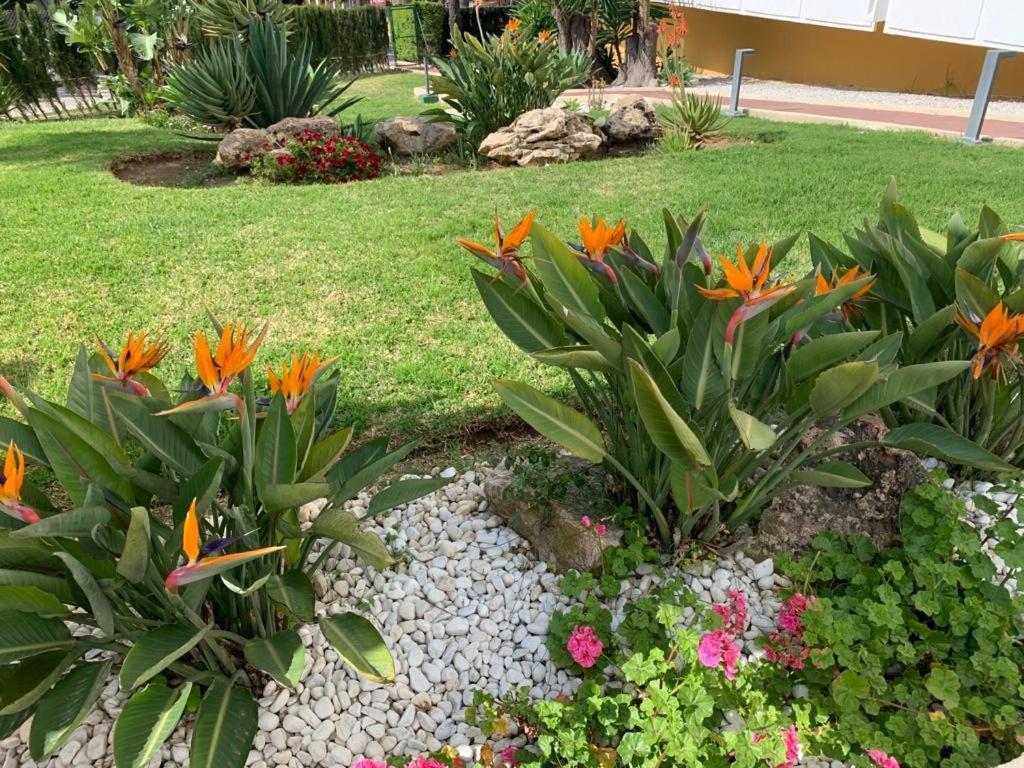 Vue Mer Exceptionnelle, El Rosario Marbella Ngoại thất bức ảnh